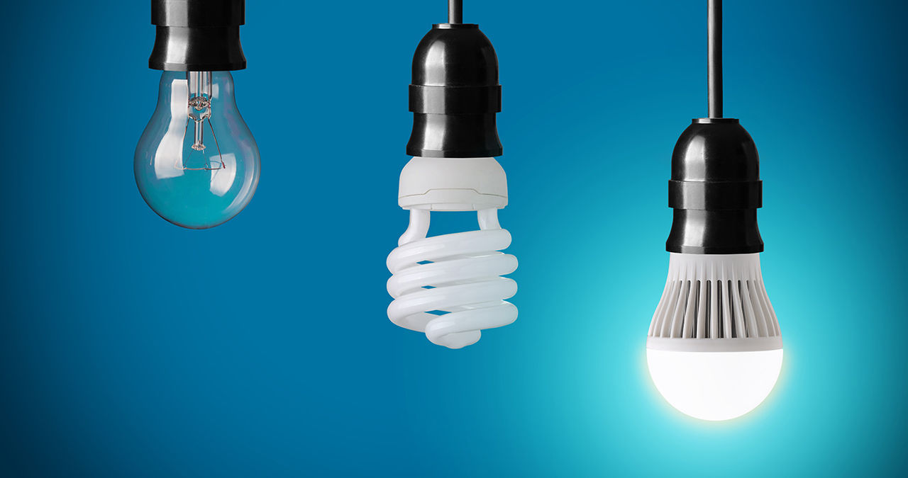 3 different style light bulbs