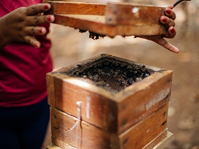 Person tending to a beehive Person tending to a beehive