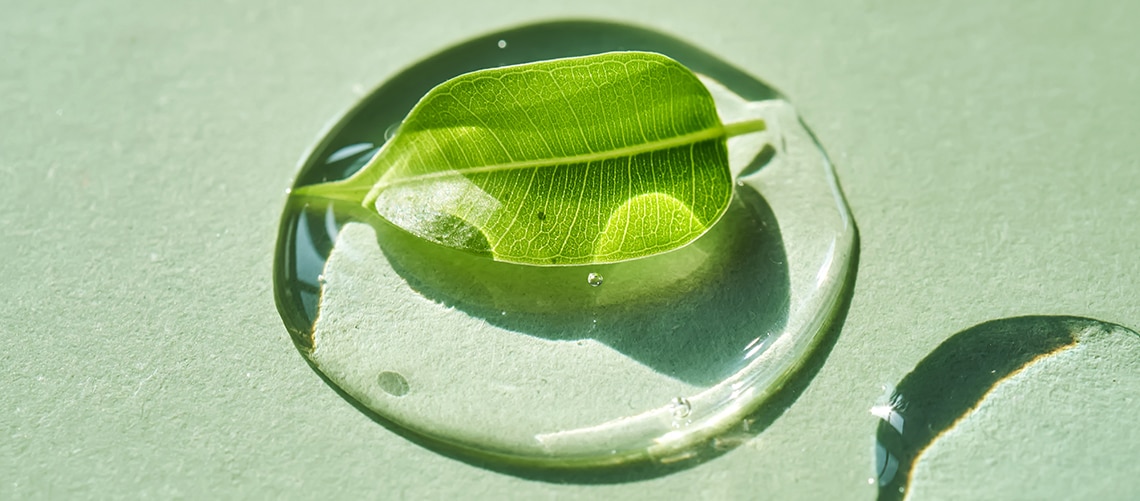 Leaf in a water droplet