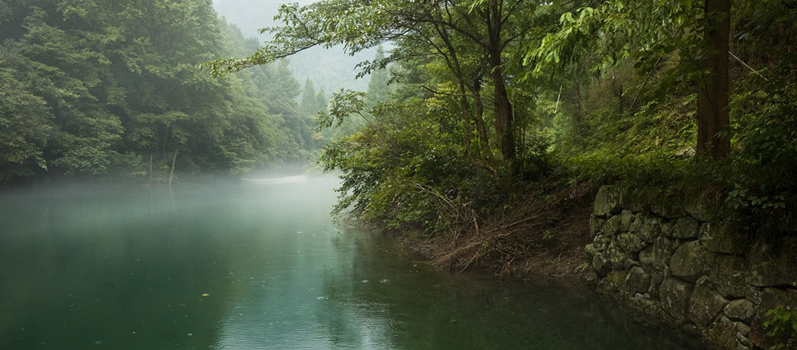Trees and rocky bank of Qingyi River