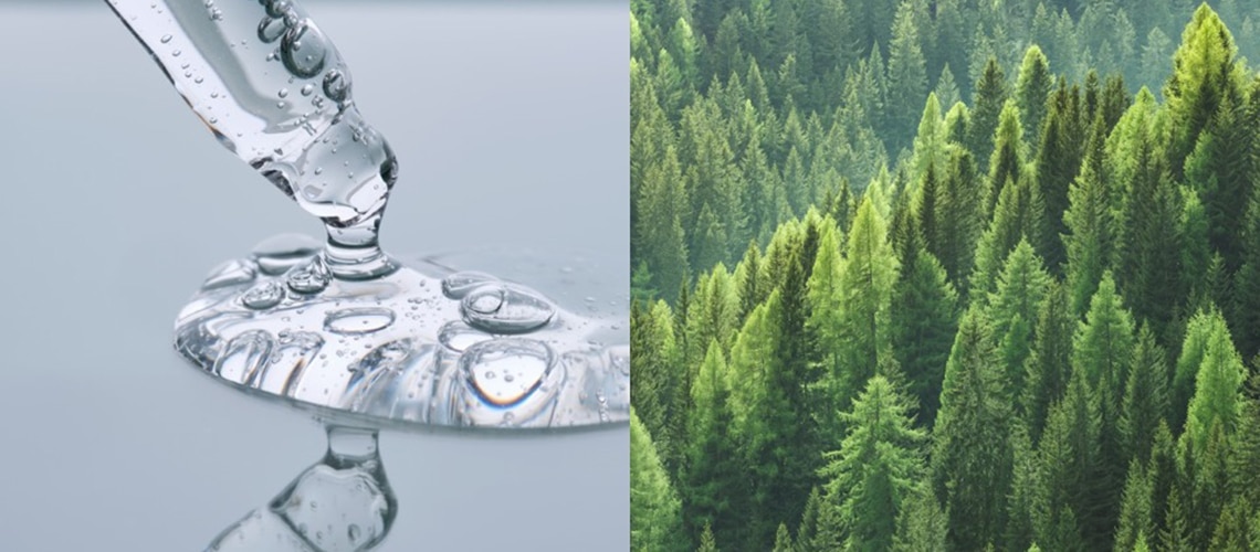 Close up of clear fluid and forest of pine trees