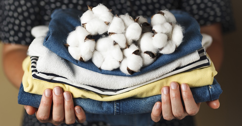 person holding cotton floweron top of folded clothing