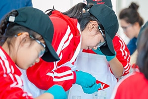 Students participate in a chemistry workshop