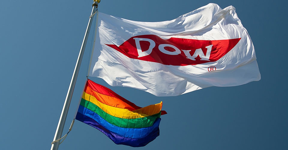 Dow and Pride Flags at Auburn Site in Michigan