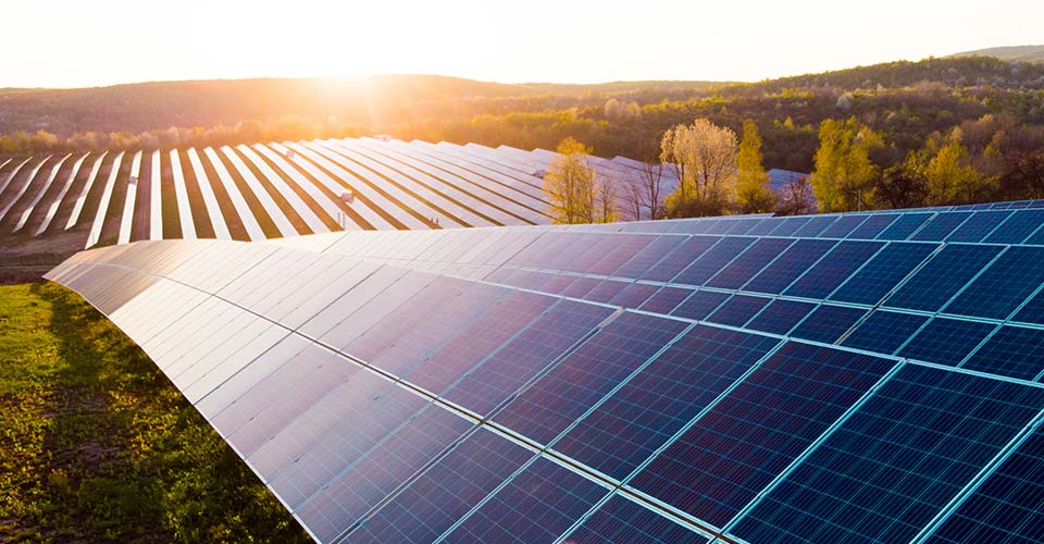 solar farm collects renewable power from the sun