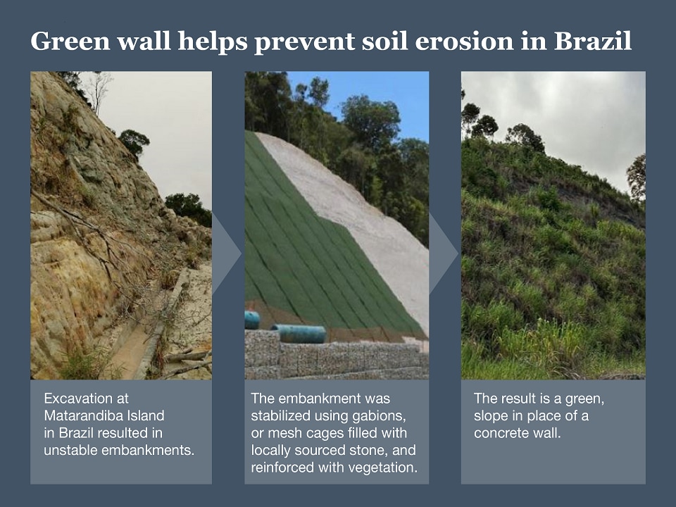 3 photos showing the steps to preventing soil erosion