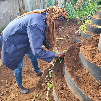 Organic farming project between Dow and Fikia Dada