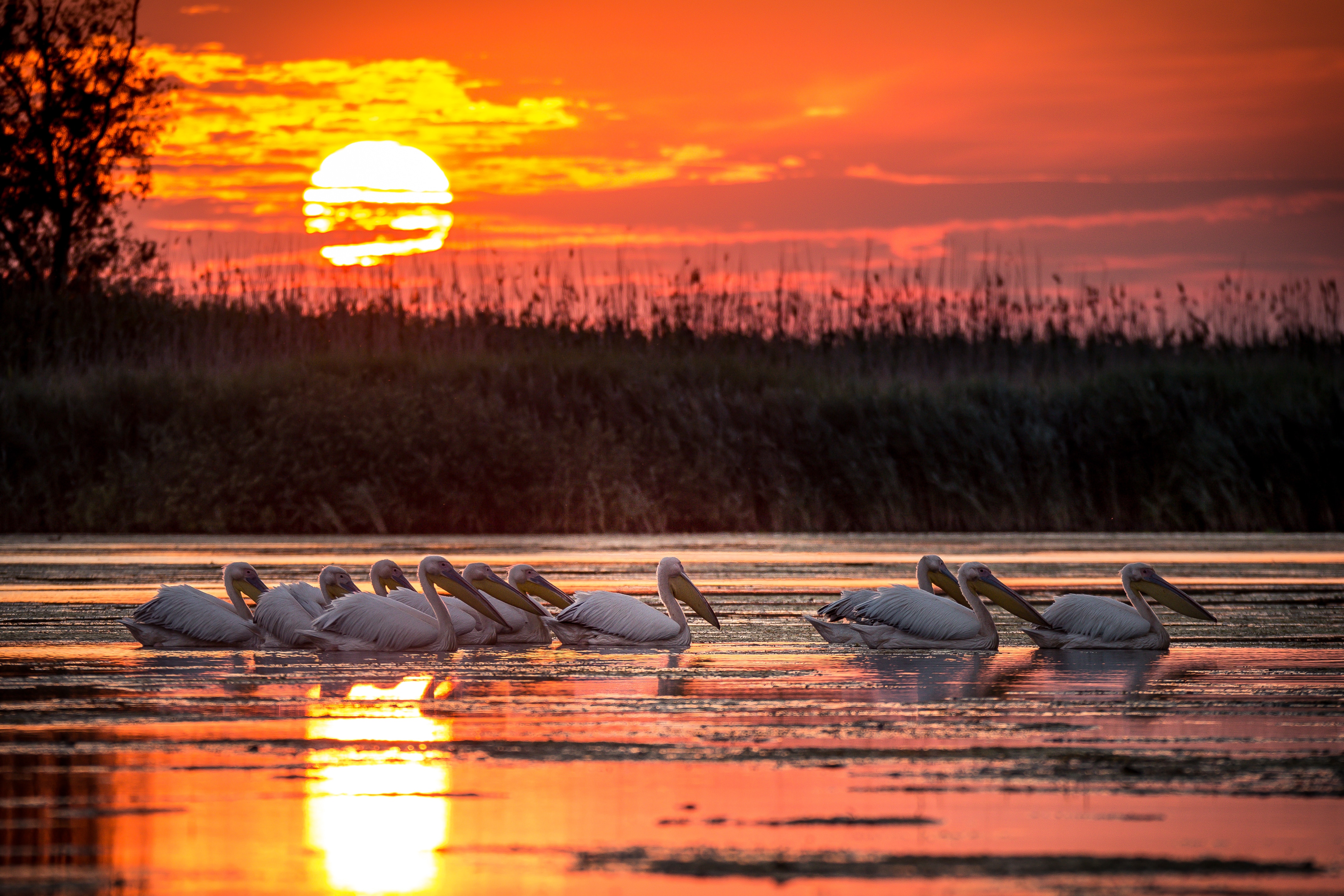 aerial view of Gulf Coast shoreline