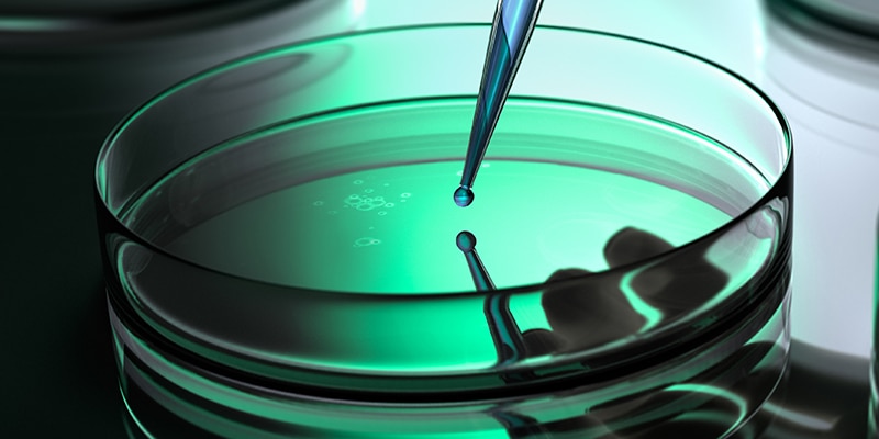 Dropper and petri dish