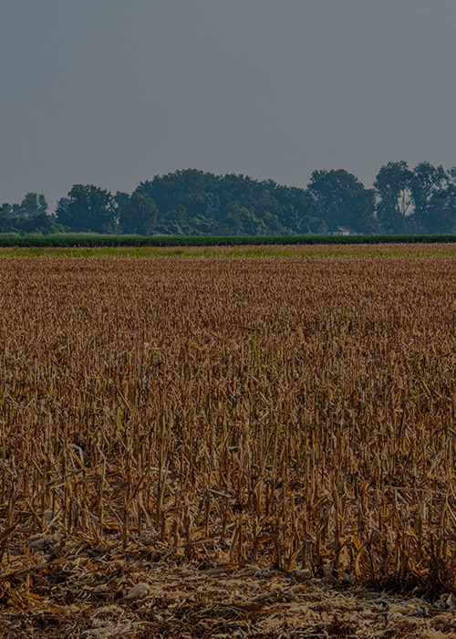 a farm field with trees in the distance