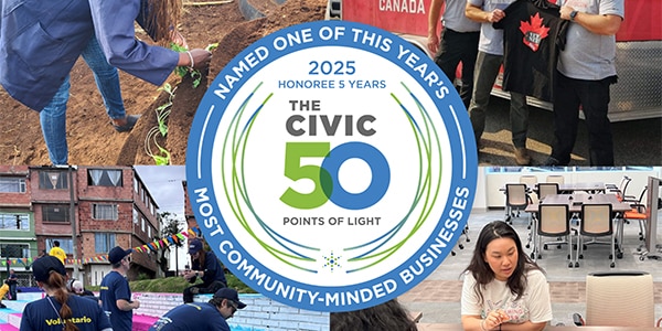 Civic 50 image