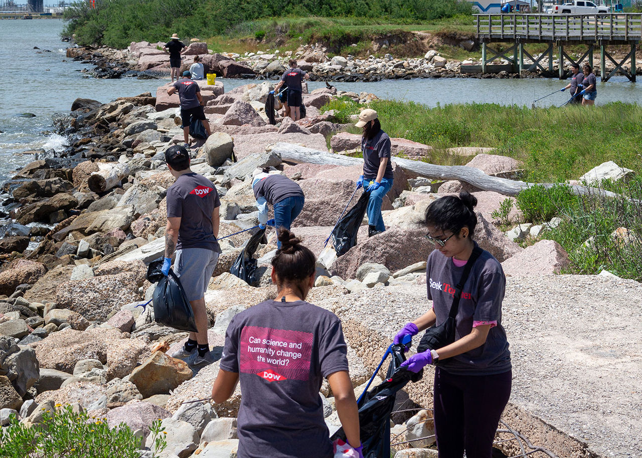 Dow volunteers collect waste