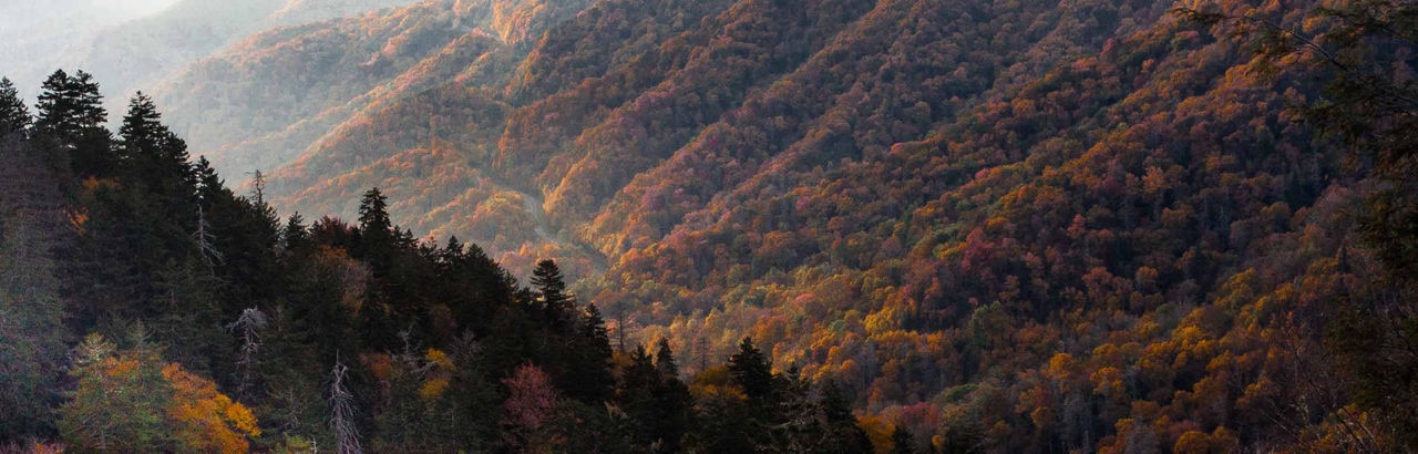 Tennessee mountains