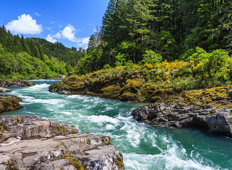 Fast flowing river in a forest with rocky shores