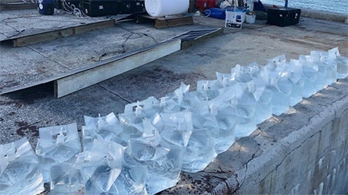 PacXpert™ packaging technology lined up at a disaster relief site