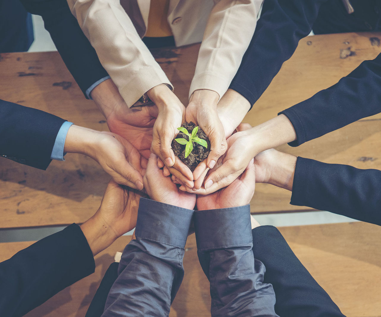 People holding a plant