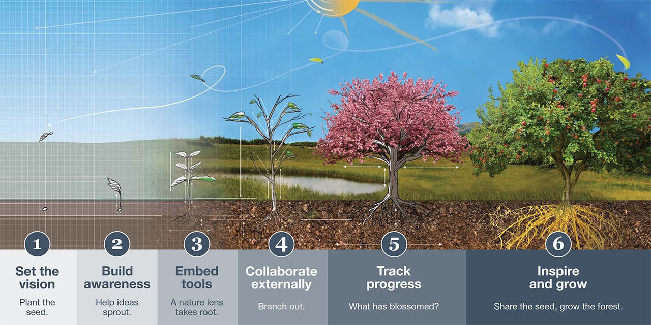 valuing nature graphic
