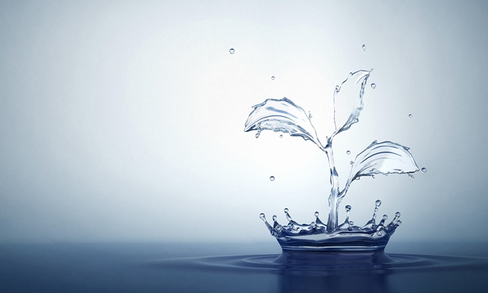 water story