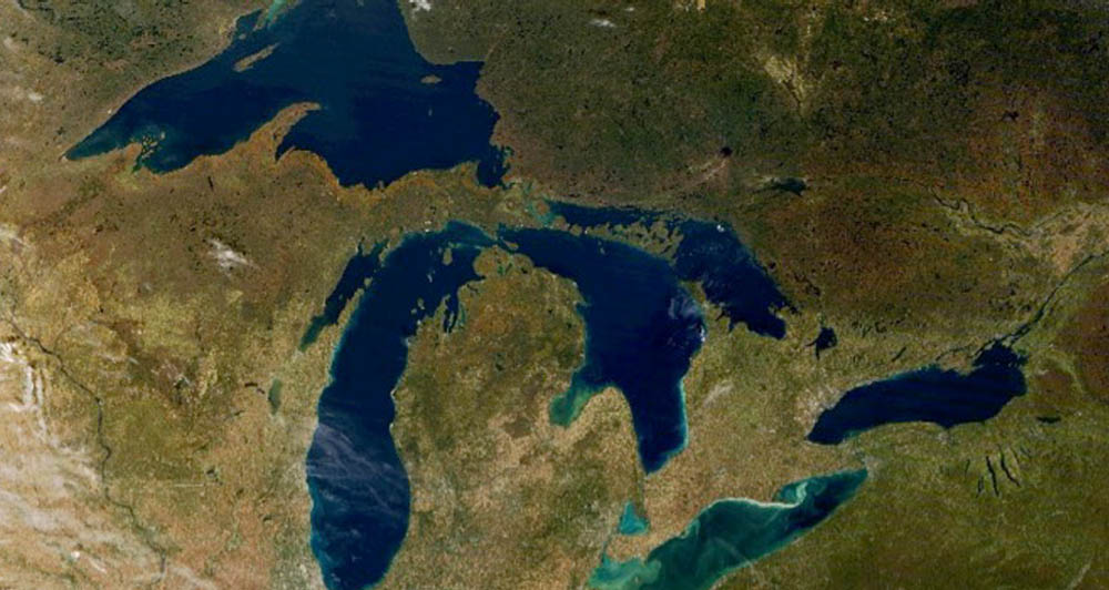 houses with trees in the background