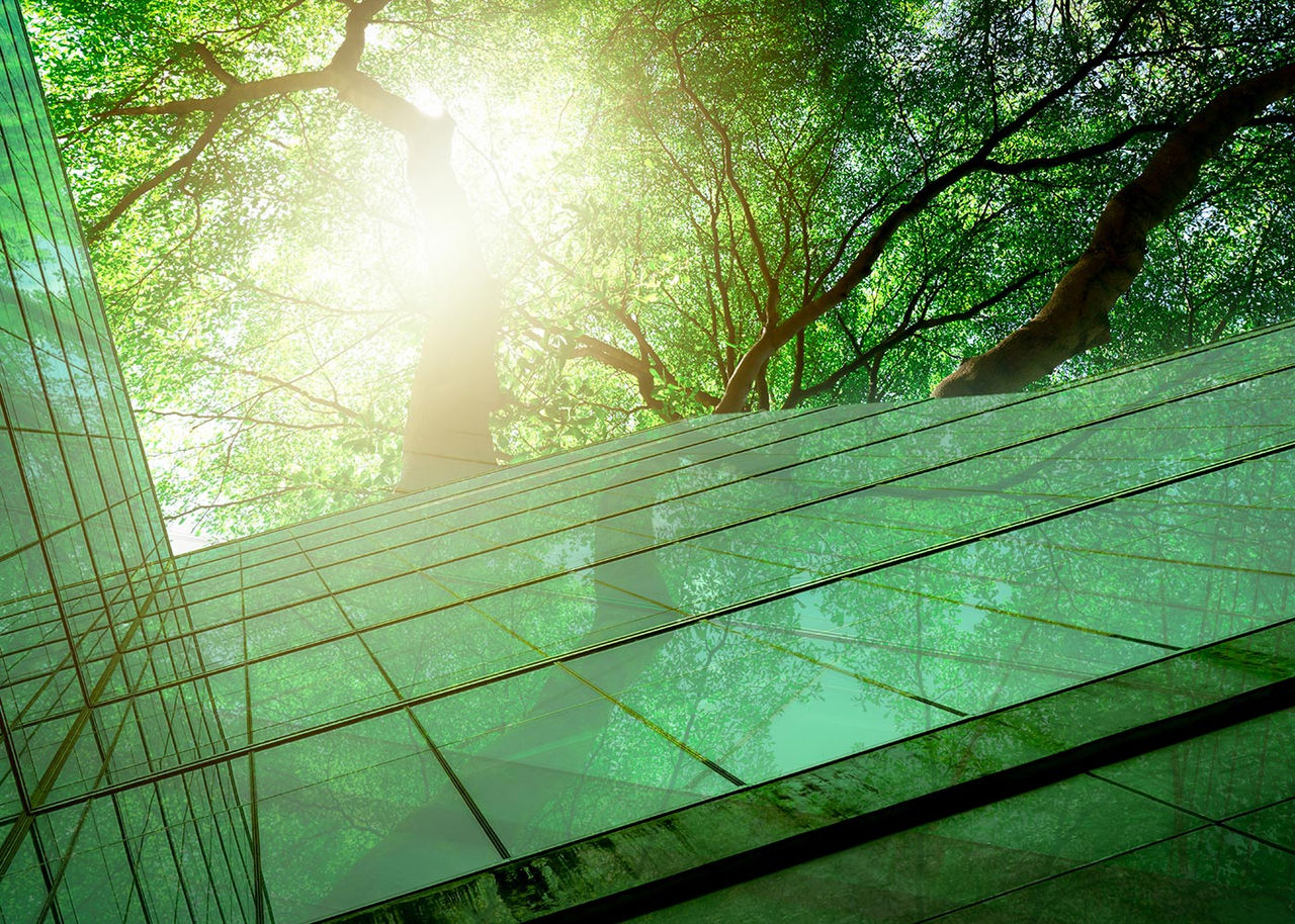 exterior of a building with trees reflecting and sun in the background