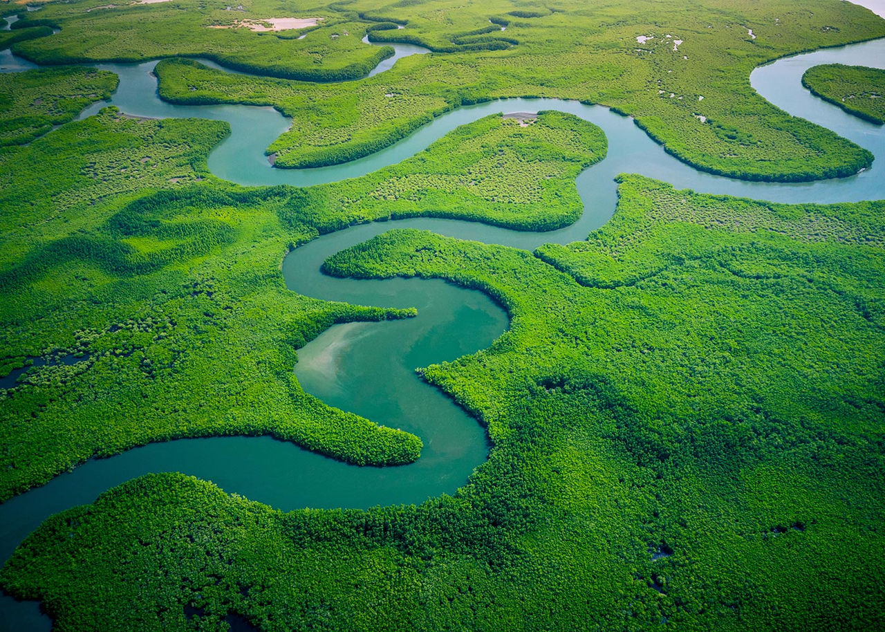 Aerial view of a waterway winding through a forested landscape