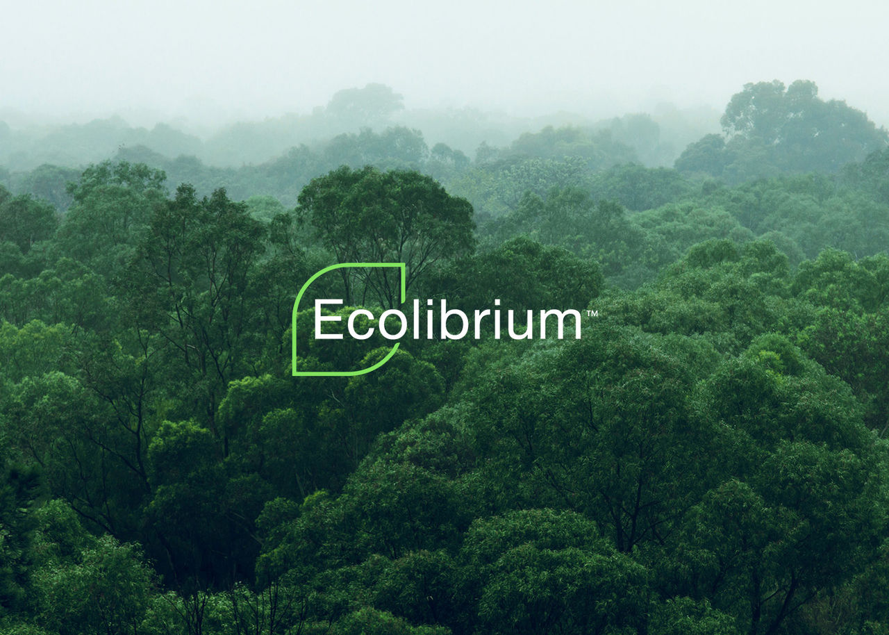 view of a rainforest with the Ecolibrium logo