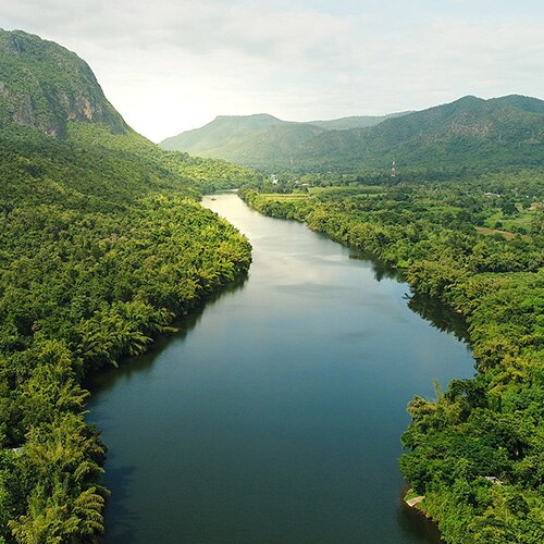 river winding through forest with mountains in background