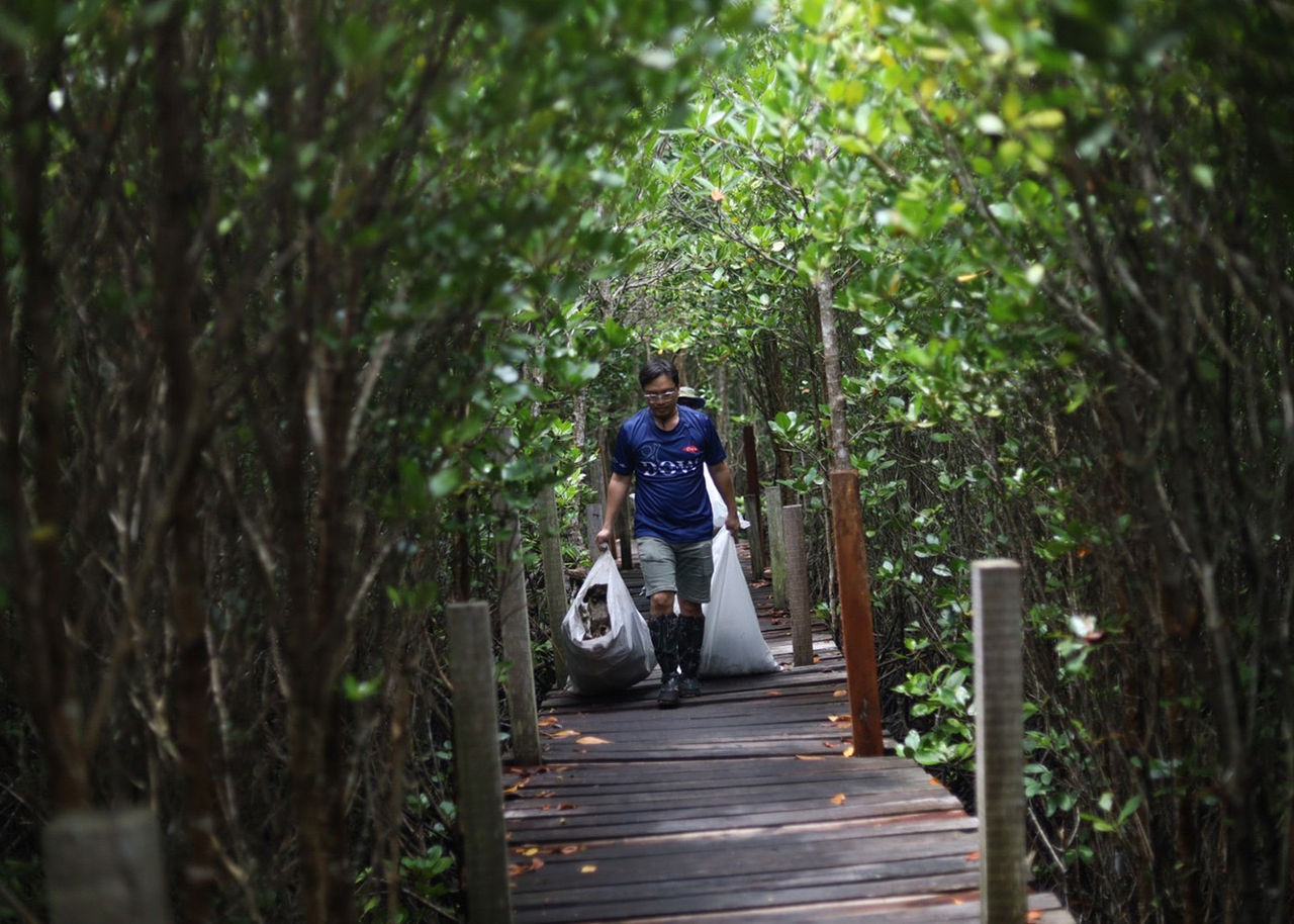 Dow volunteer cleans waste in Thailand mangroves