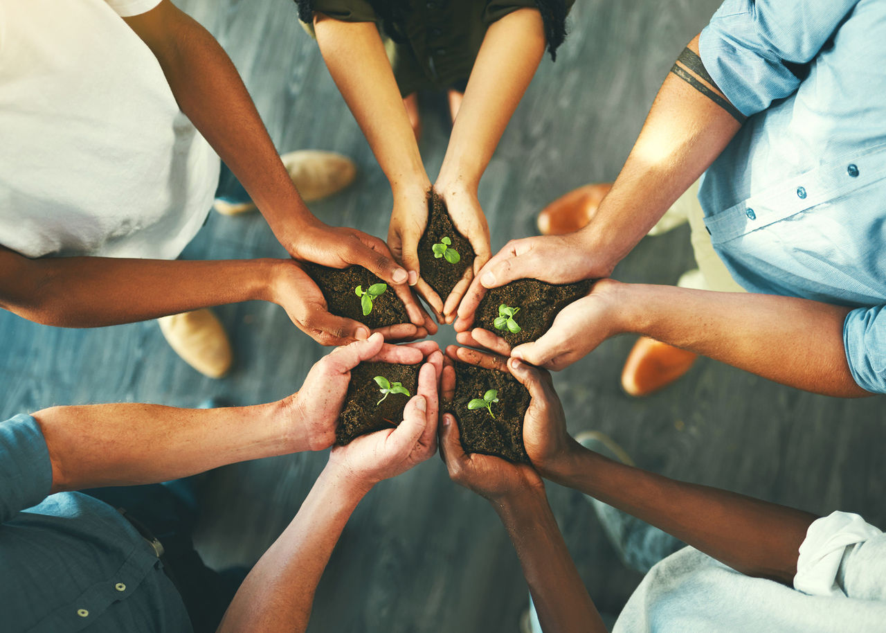 hands holding plants