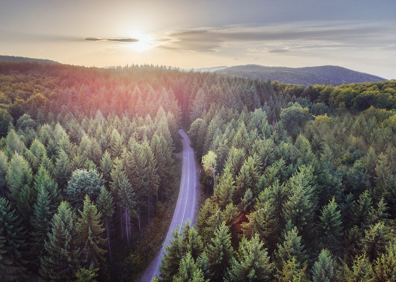 Aerial nature scenic landscape of pine trees and driving road in
Aerial nature scenic landscape of pine trees and driving road in summer. Top view of dark green forest in mountain at sunset.