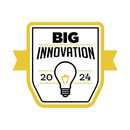 BIG Innovation Award - 2024
