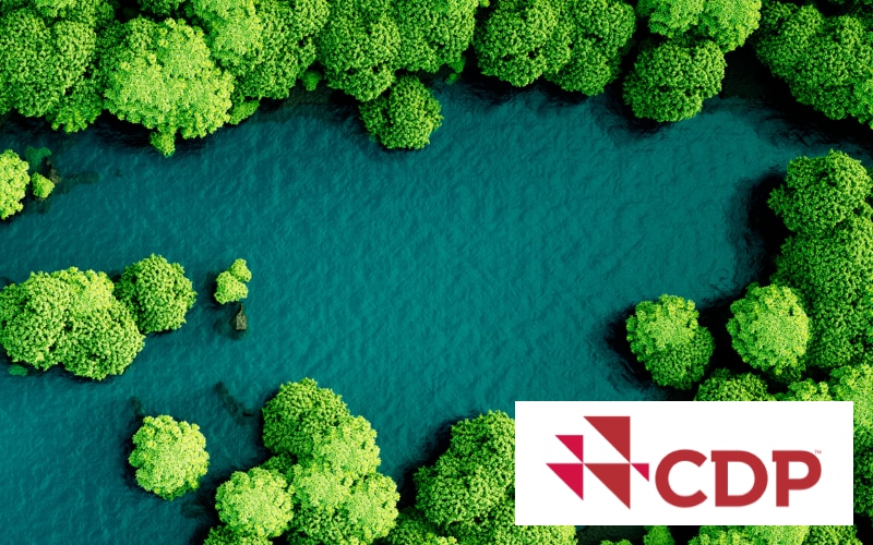 aerial view of a river and trees with the CDP logo