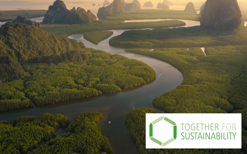 aerial view of a river and trees with the Together for Sustainability logo