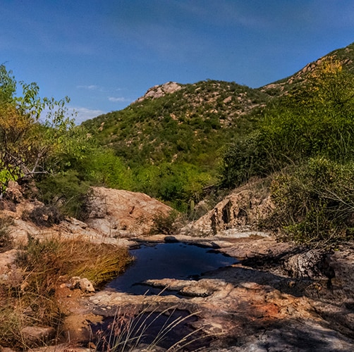 a creek bed in the mountains