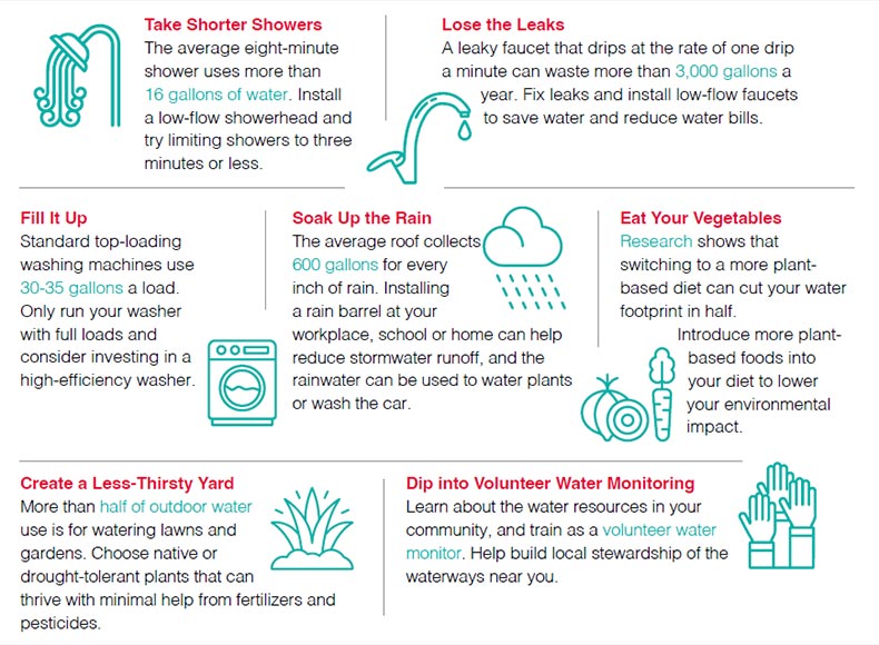 portion of World Water Day infographic about being a water steward