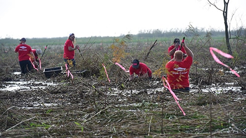 Dow volunteers plant trees as part of Restore the Earth project